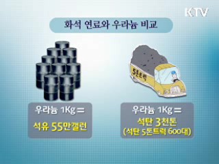 원자력 에너지 대안 없나? [와이드 인터뷰]