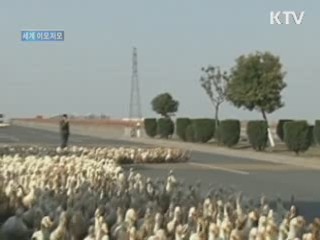 영화 '카사블랑카' 피아노, 경매 나온다