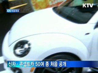 수백만 힌두교도 '강물에 죄 씻기'