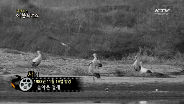 다시보는 대한늬우스 (82.11.19)