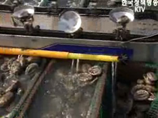 심층, 수산물 수출진흥 종합대책