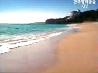 전국 해수욕장 수질조사 실시