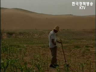동북아 산림네트워크로 황사 걷어낸다