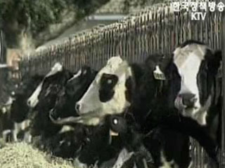 이성적 판단 필요