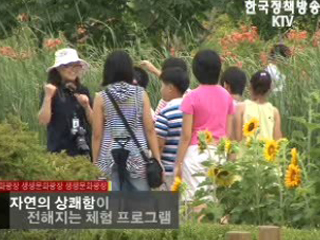 자연과 놀자 외