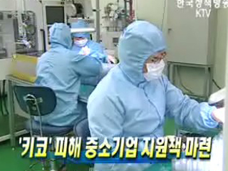 '키코' 피해 중소기업 지원책 마련