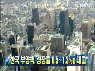 "한국 부양책, 성장률 0.5~1.3%p 제고"