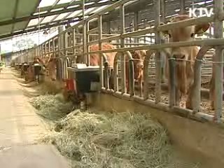 광역 클러스터로 지역 특산물 육성