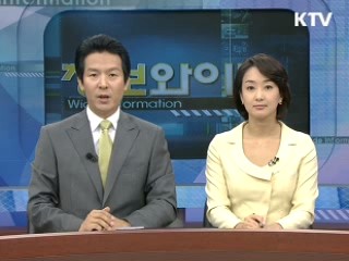 정보와이드 모닝 (252회)