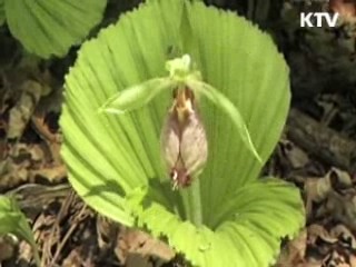 18곳 국립공원 특별보호구역 확대 지정