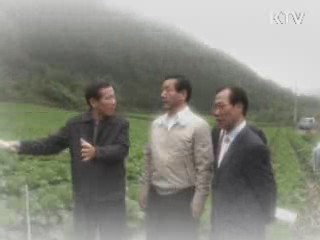 유정복 장관, 배추재배 현장을 가다 [정책,현장을 가다]