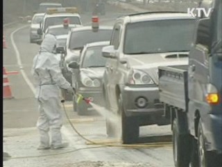 구제역 예방접종 확대, 이동통제 강화