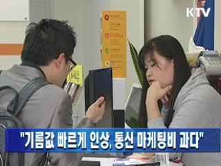 "기름값 빠르게 인상, 통신 마케팅비 과다"