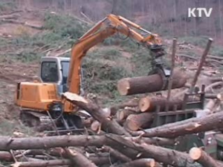 산림 분야 녹색 일자리 4만4천개 창출