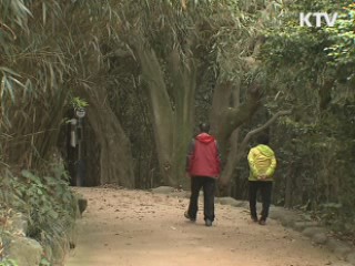 여름 휴가철 국내여행 확대 추진