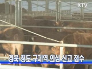 경북 청도 구제역 의심 신고 접수