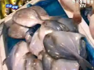 심층취재 “탐사”