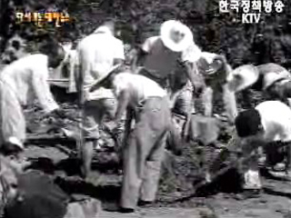 학생 계몽대 활약(`62)