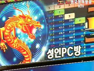 경품용 상품권 폐지, 오락실 개설 허가제로 변환