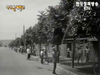 나무의 병충을 없애자(`62)