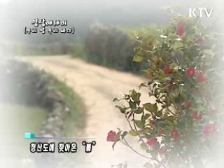 봄이 오는 소리