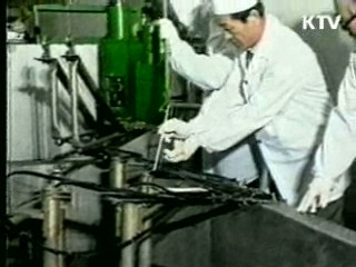 "북핵 위협, NPT체제 강화로 대처"