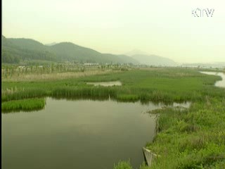 비무장지대, 생태-평화 벨트 조성