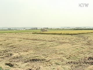 공공비축쌀 4만7천원…작년 수준 유지