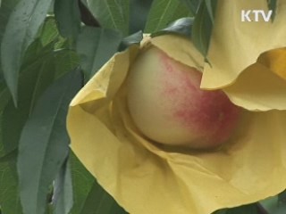 학원비 편법 인상 금지…"교습비 공개해야"
