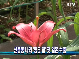 신품종 나리 '핑크 펄' 첫 일본 수출