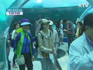 여수엑스포 출발 전 '꼭 알아 두세요'