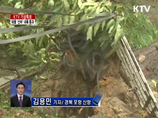 포항지역, 비바람 동반 폭우···피해 잇따라