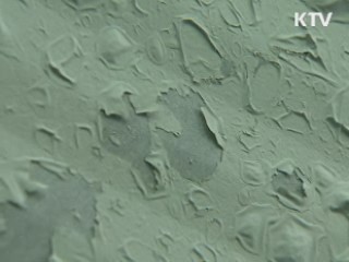 녹고 마르고...계속되는 피해