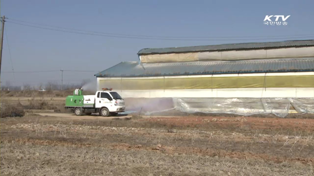 위험지역 외 추가신고 없어…철새 우려 여전