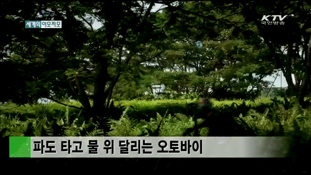 파도 타고 물 위 달리는 오토바이 [세계 이모저모]