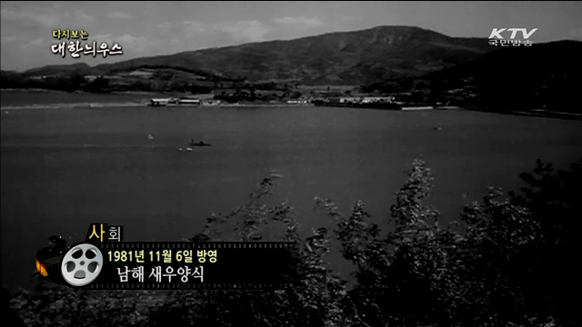 다시보는 대한늬우스 (81.11.06)