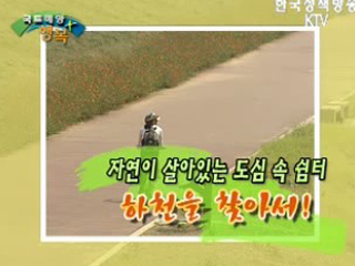 자연이 살아있는 도심 속 쉼터, 하천을 찾아서!