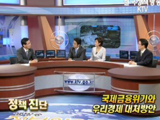 국제금융위기와 우리의 대처방안 