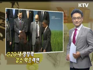 G20 내 영향력 감소 막으려면