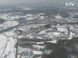 국유림에도 '구제역 매몰' 허용