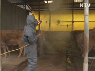 정부, 축산업 선진화 방안 오늘 발표