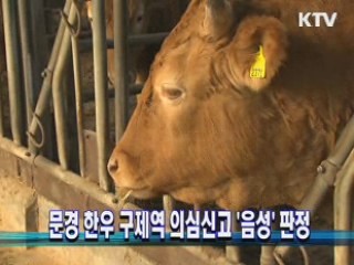 문경 한우 구제역 의심신고 '음성' 판정