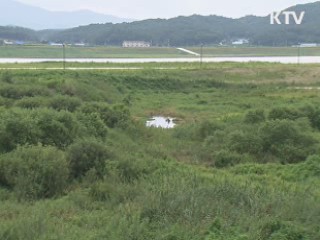 올 여름 휴가 '4대강 생태습지로 떠나요'
