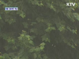 태풍 '볼라벤' 북상···제주도 영향권