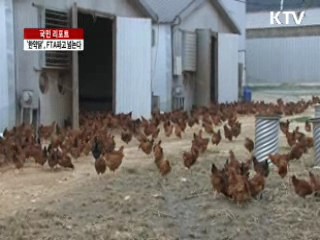 '한약닭', FTA파고 넘는다 [국민리포트]