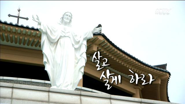 카메듀서의 映像美學 (42회)