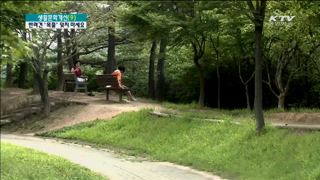 "'목줄 없는' 반려견 데리고 나오지 마세요!"