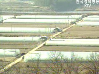 지방재정 조기집행