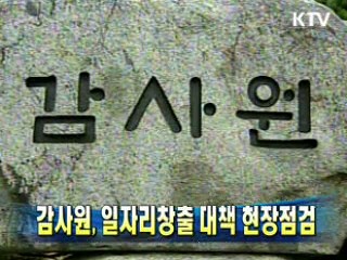 감사원, 일자리창출 대책 현장점검