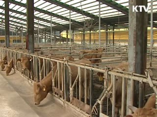 한국, '광우병 위험통제국' 지위 인정